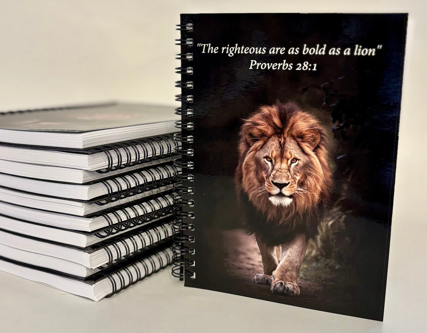 5" x 7" Notebook - Proverbs (English)