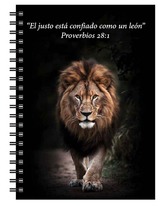 5" x 7" Notebook - Proverbs (Spanish)
