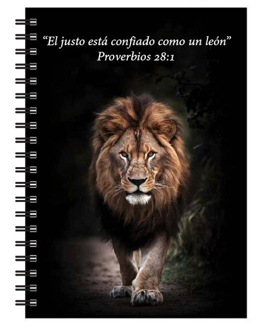 5" x 7" Notebook - Proverbs (Spanish)